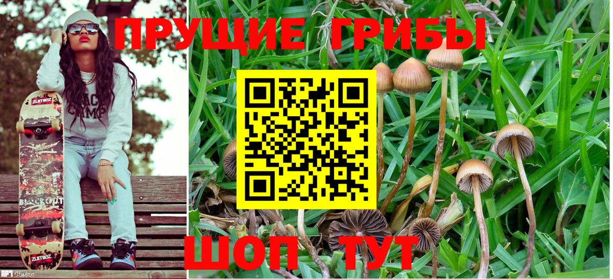 Галлюциногенные грибы Magic Shrooms  Глазов 