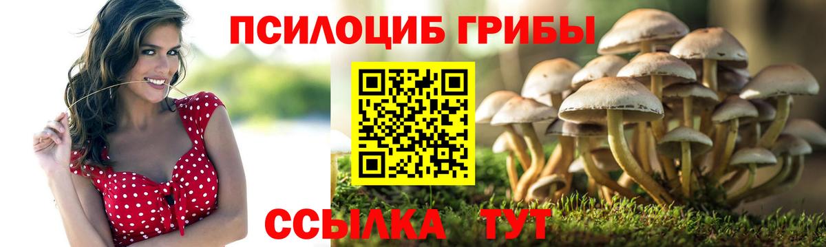 Галлюциногенные грибы прущие грибы  Галлюциногенные грибы Psilocybine cubensis  Глазов  Вход с VPN 